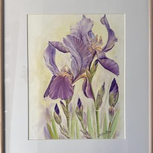 "Irises" Watercolour Art