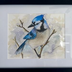 "Blue Jay on a Branch" Watercolour Art<BR>-SOLD-