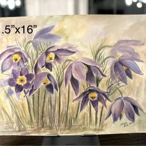 "Prairie Crocus" Watercolour