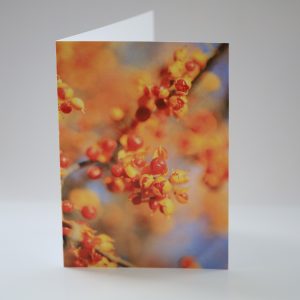 Greeting Card "Winter Berries"