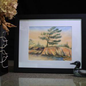 "White Pines of Muskoka" Watercolour