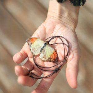 "Wind Catcher" Real Butterfly Necklace (only 1 avail.)