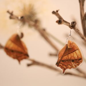 Earrings "Caramel Desert" - Handmade Sterling Silver with real Butterfly Wings