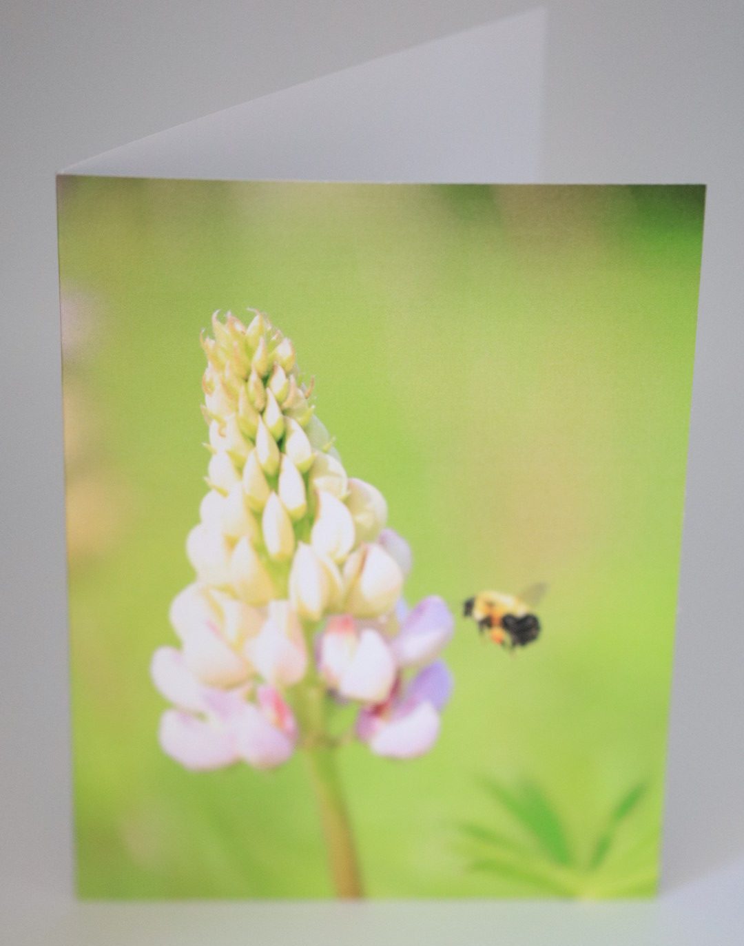 Greeting Cards (set of 4) "Bumblebee and Lupin" - Image 4