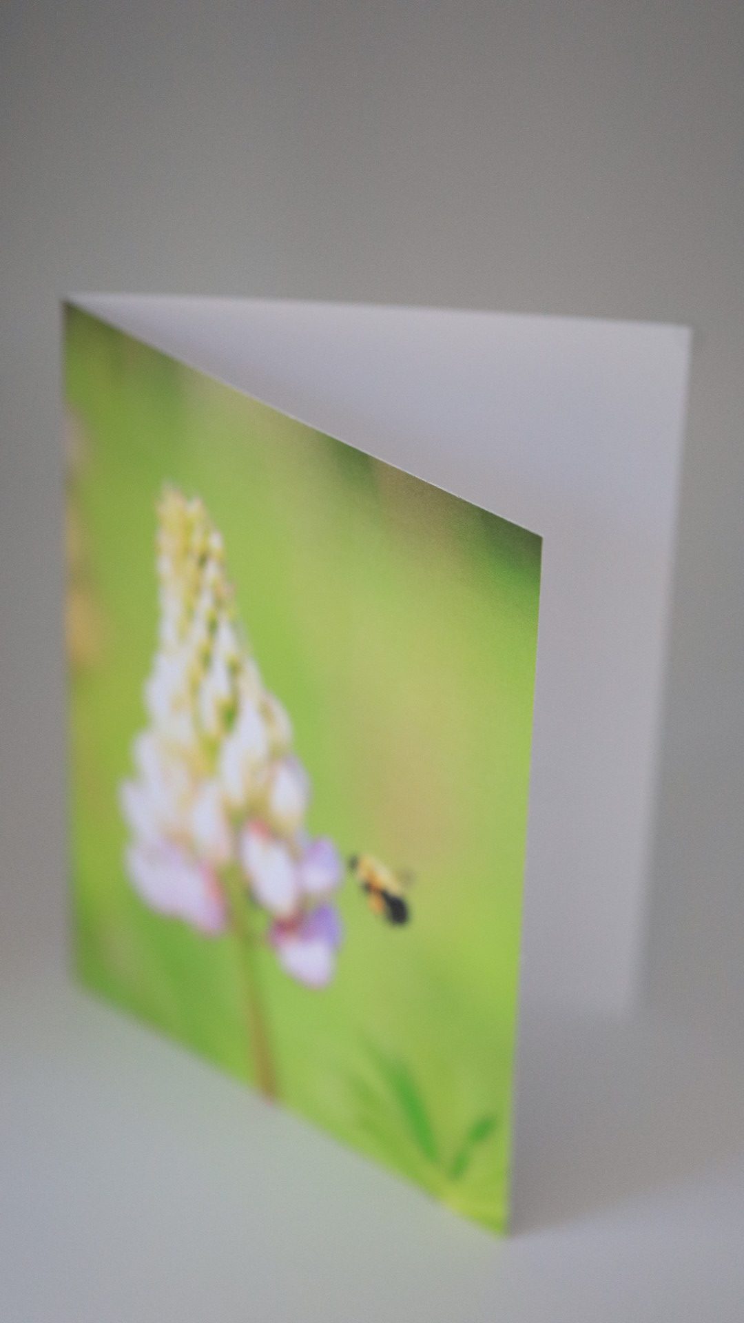 Greeting Cards (set of 4) "Bumblebee and Lupin" - Image 3