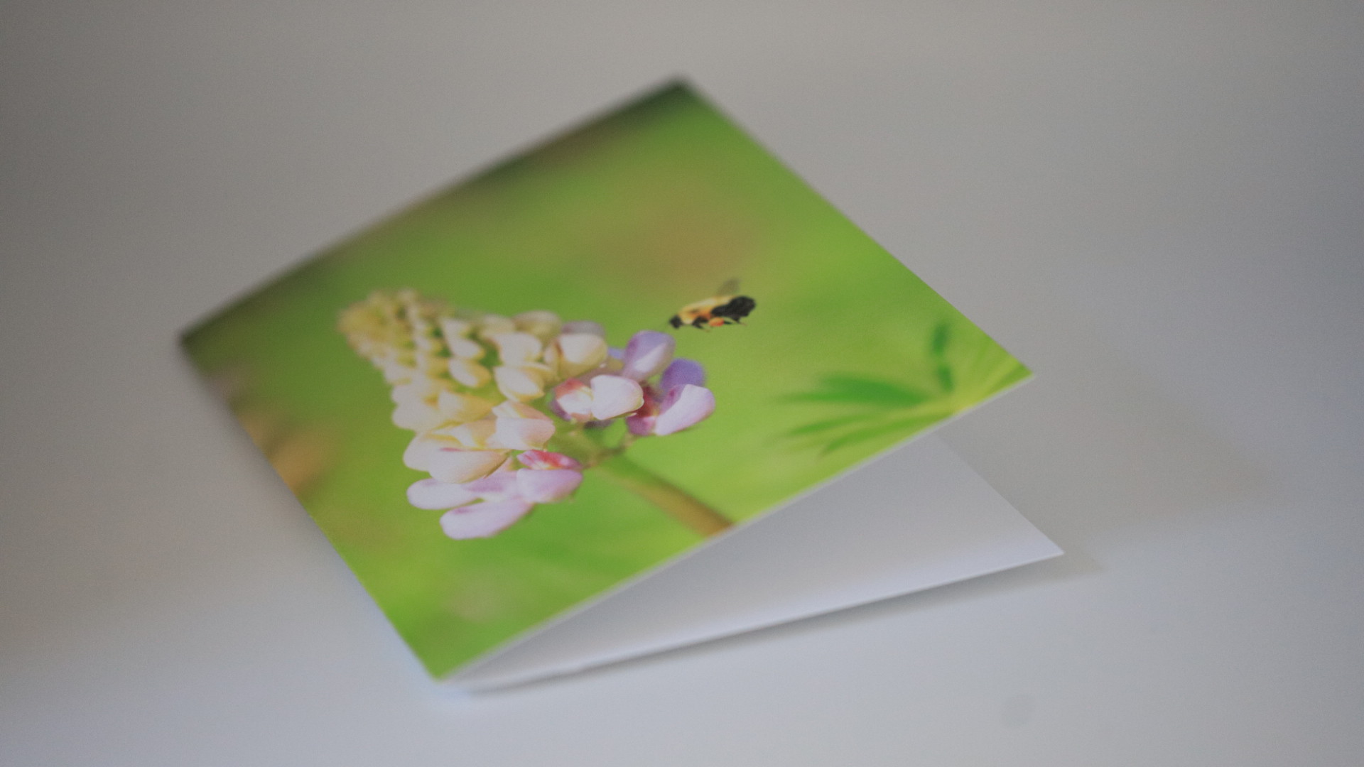 Greeting Cards with Photography by Natalia Rose