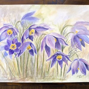 original watercolour - pasque flower anemones