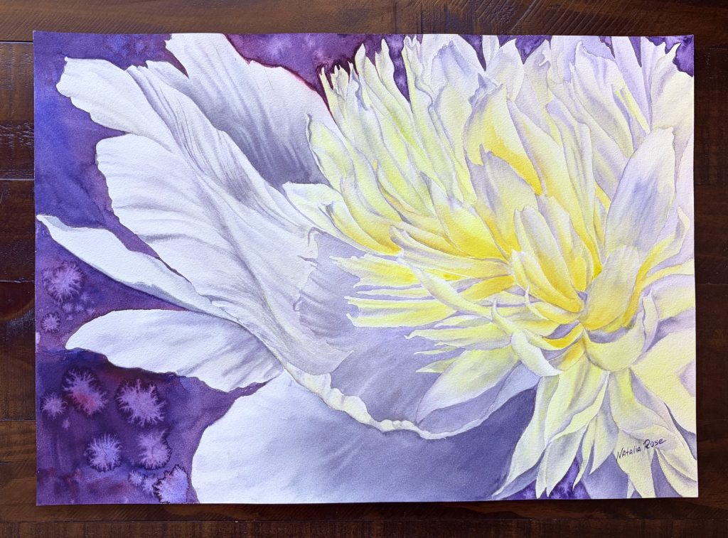 Original watercolour painting - primavera peony
