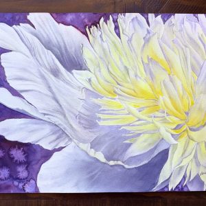 Original watercolour painting - primavera peony